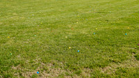 DSC08947-2