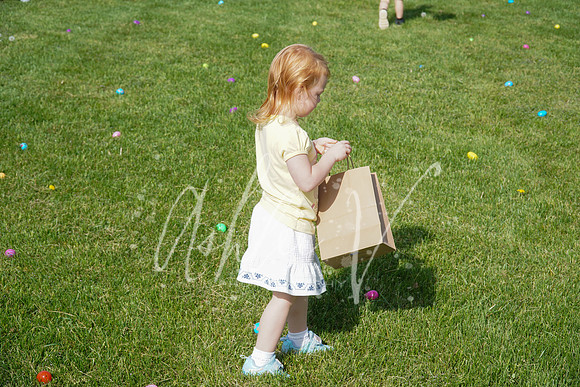 DSC08964