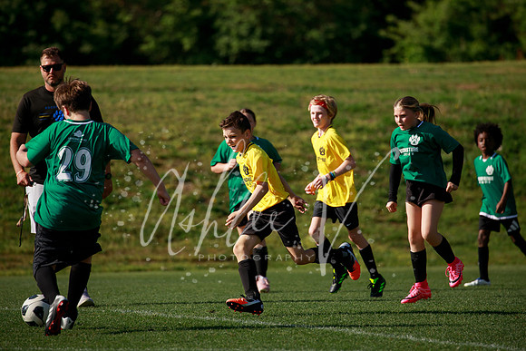 7Q4A2013