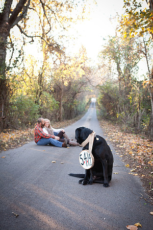 Fall 2013-12