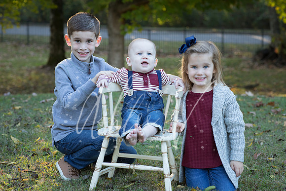 avp|2019-99